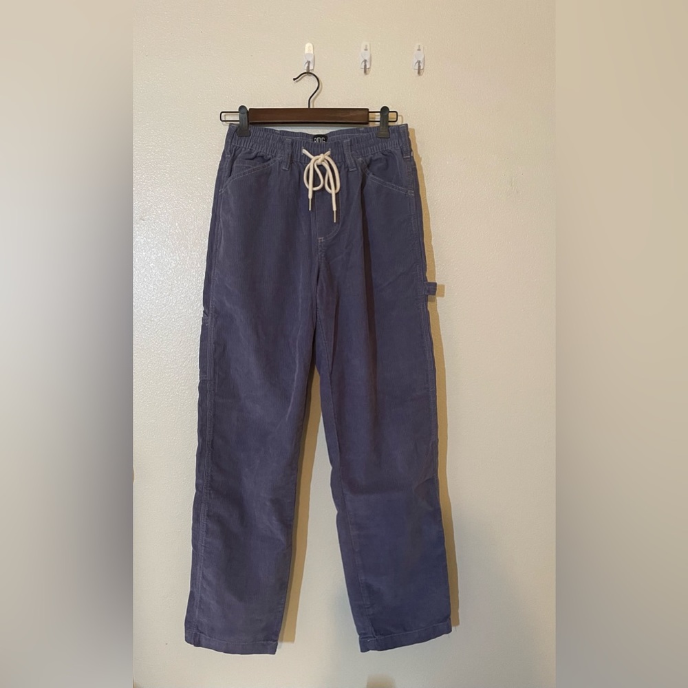 BDG cardiopulmonary drawstring men’s pants